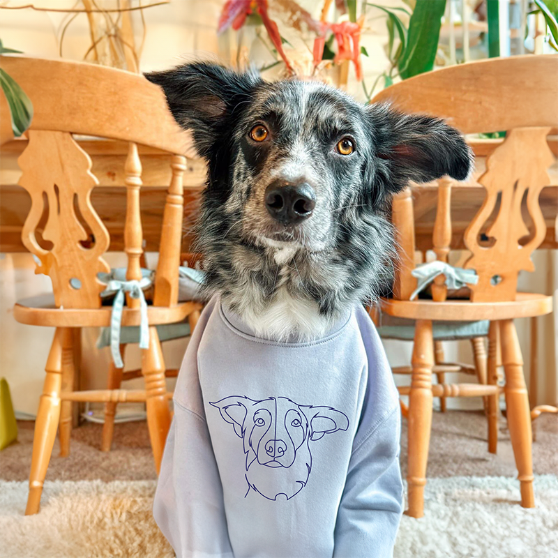 Custom Pet Sweatshirt Pet Embroidered Center Sweatshirt